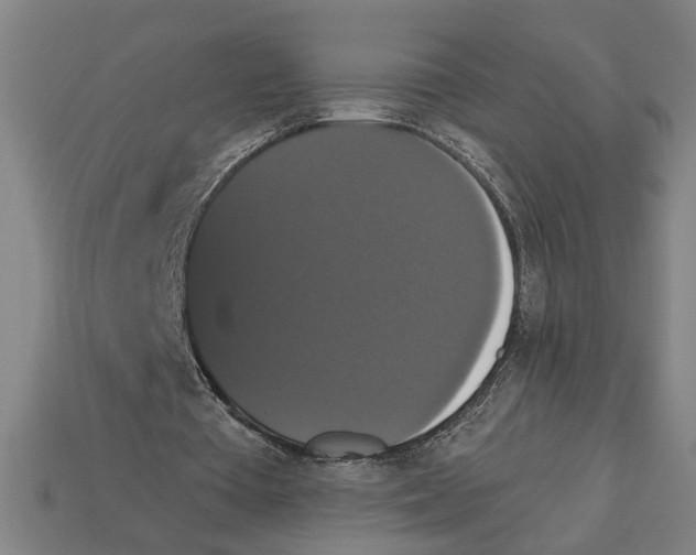 X0000113060385200909250913