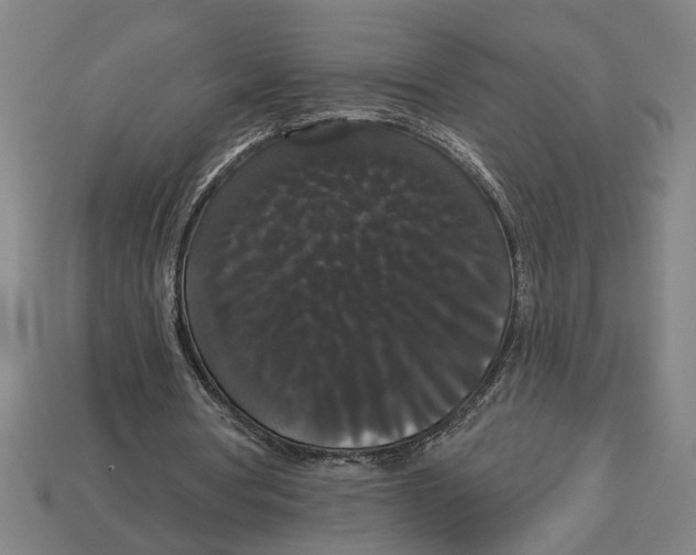 X0000113060386200909250913