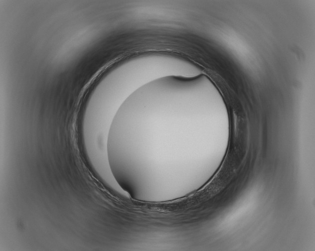 X0000113060387200909250913