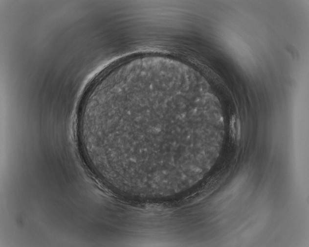 X0000113060388200909250913