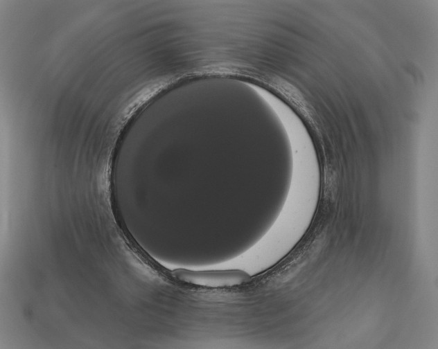 X0000113060389200909250913