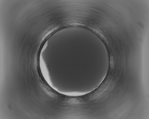 X0000113060390200909250913