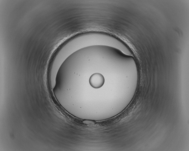 X0000113060391200909250913