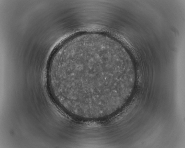 X0000113060392200909250913