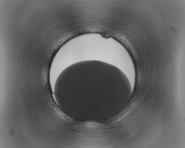 X0000113060393200909250913