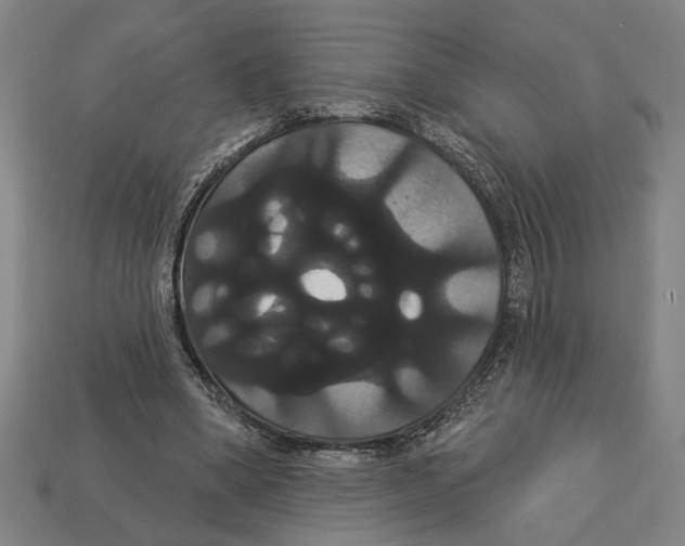 X0000113060394200909250913