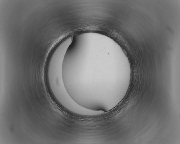 X0000113060395200909250913