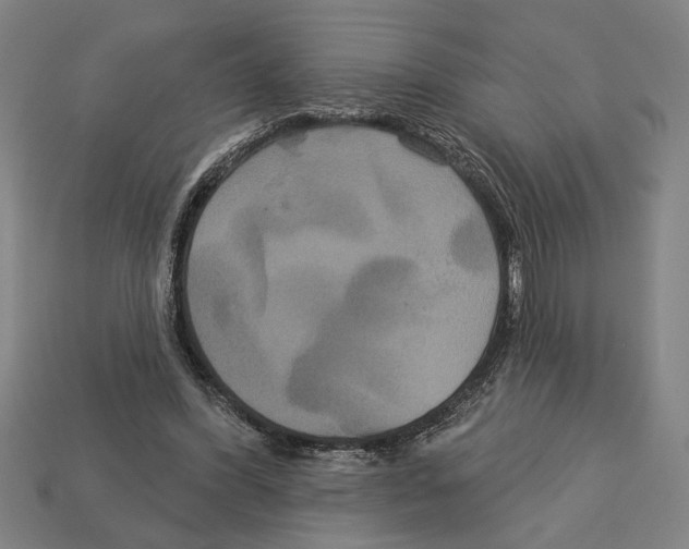 X0000113060396200909250913