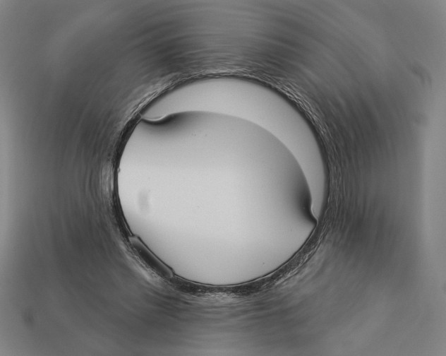 X0000113060397200909250913