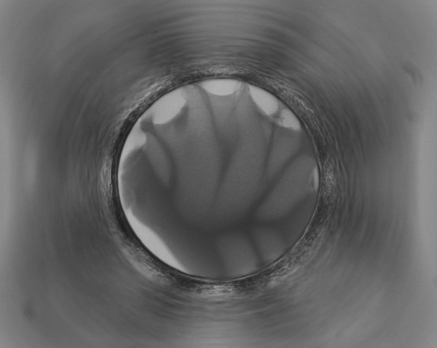 X0000113060398200909250913