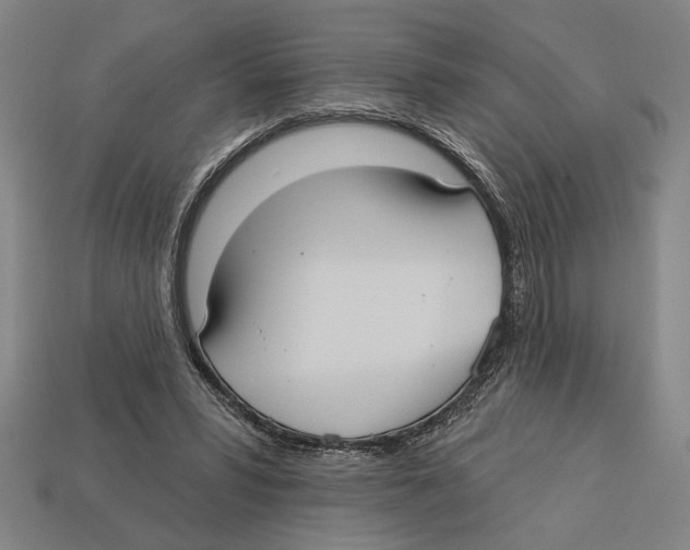 X0000113060399200909250913