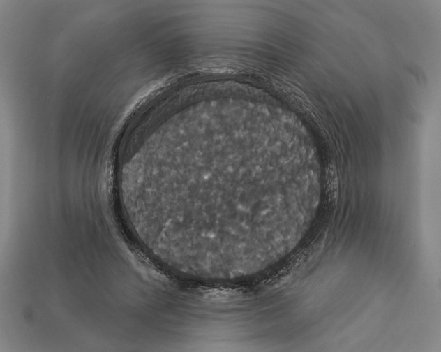 X0000113060400200909250913