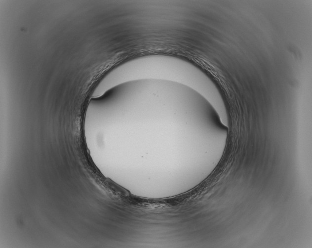 X0000113060401200909250913