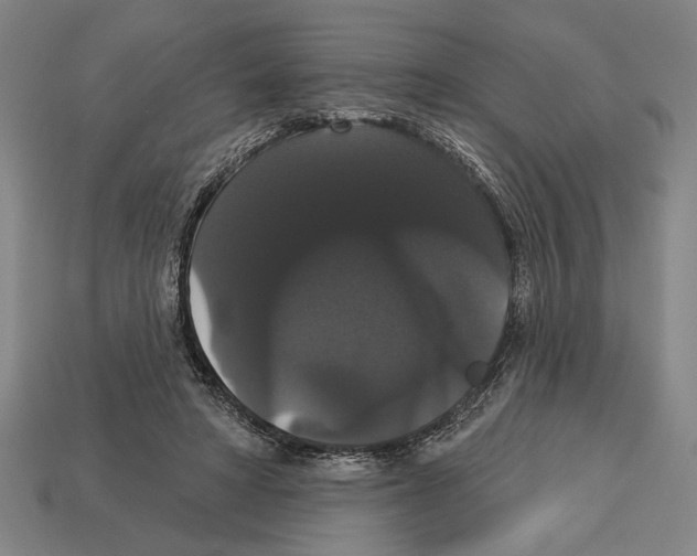 X0000113060402200909250913