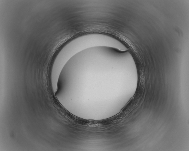 X0000113060403200909250913