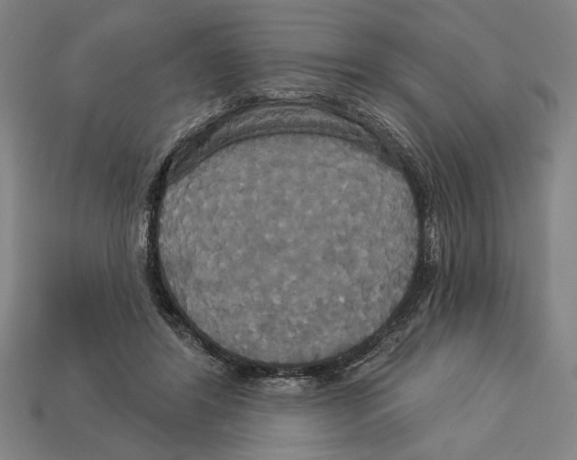 X0000113060404200909250913