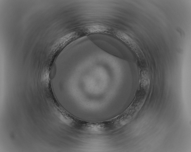 X0000113060405200909250913