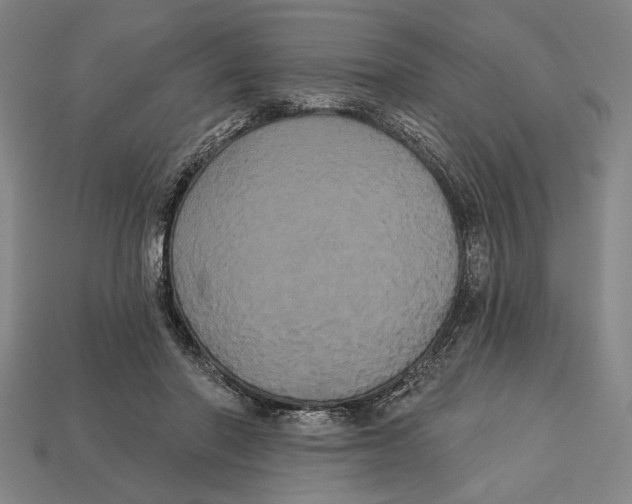 X0000113060406200909250913