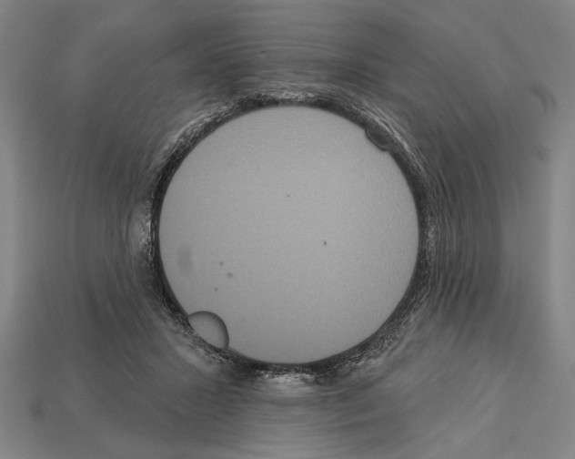 X0000113060407200909250913