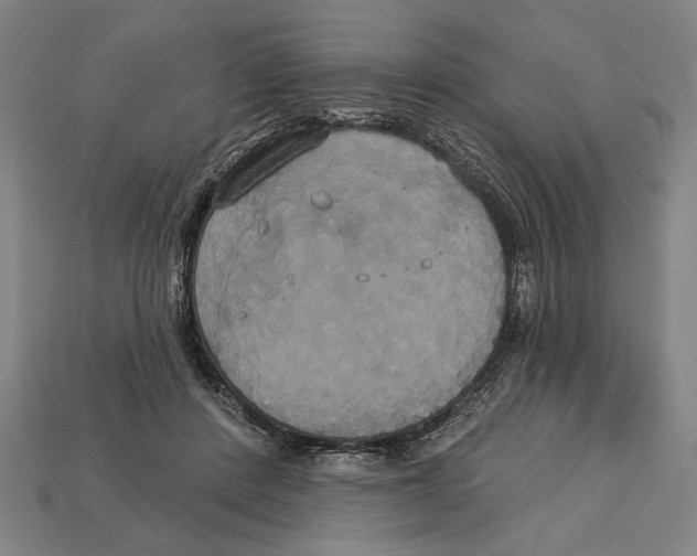 X0000113060408200909250913