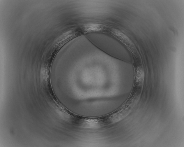 X0000113060409200909250913