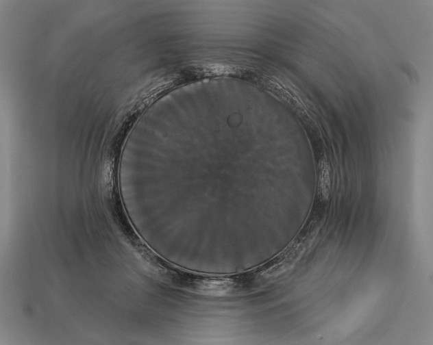 X0000113060410200909250913