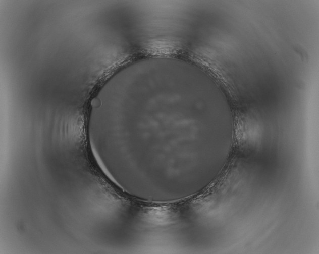 X0000113060411200909250913