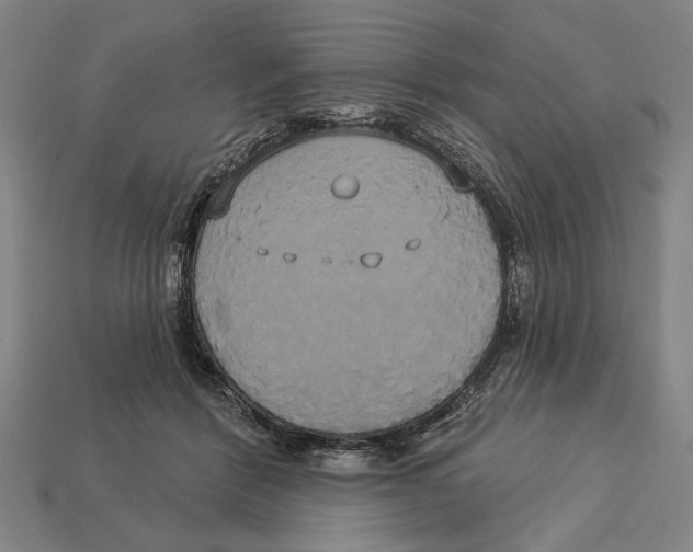 X0000113060412200909250913