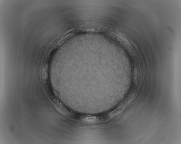 X0000113060413200909250913