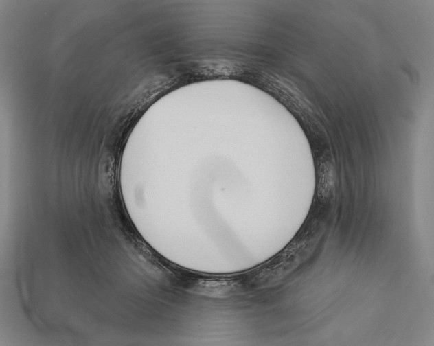 X0000113060414200909250913