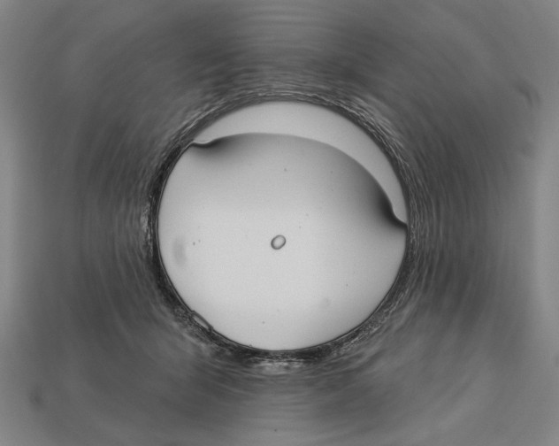 X0000113060415200909250913