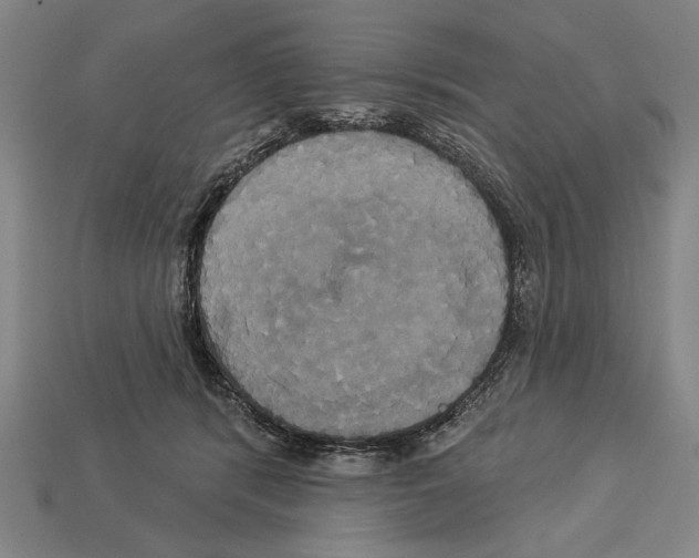 X0000113060416200909250913