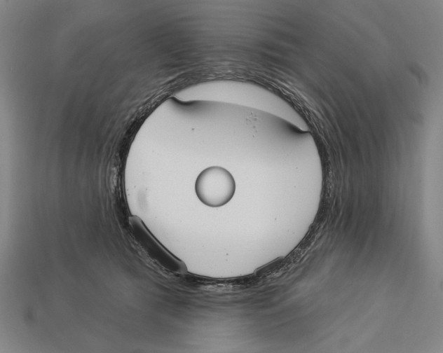 X0000113060417200909250913