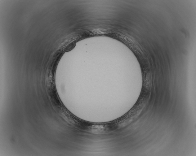 X0000113060418200909250913