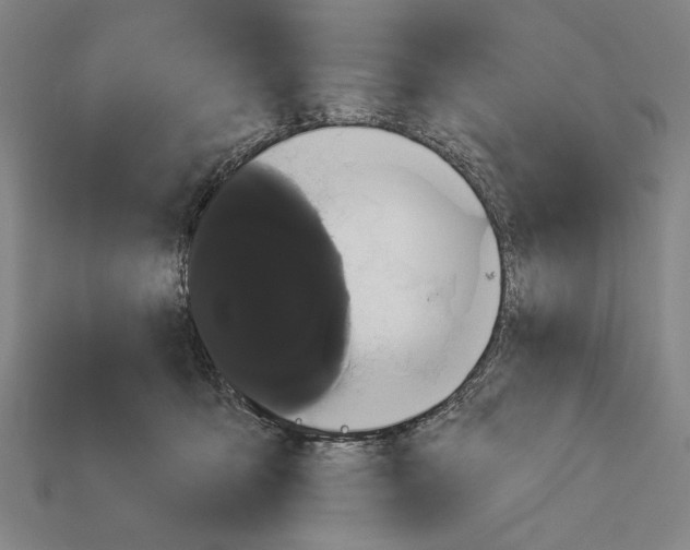 X0000113060419200909250913