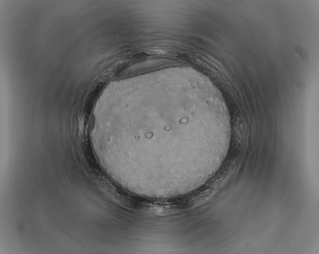 X0000113060420200909250913