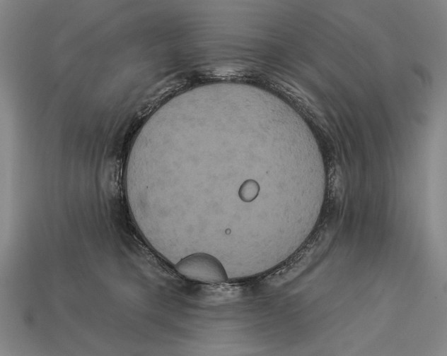 X0000113060421200909250913