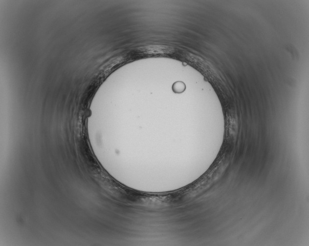 X0000113060422200909250913