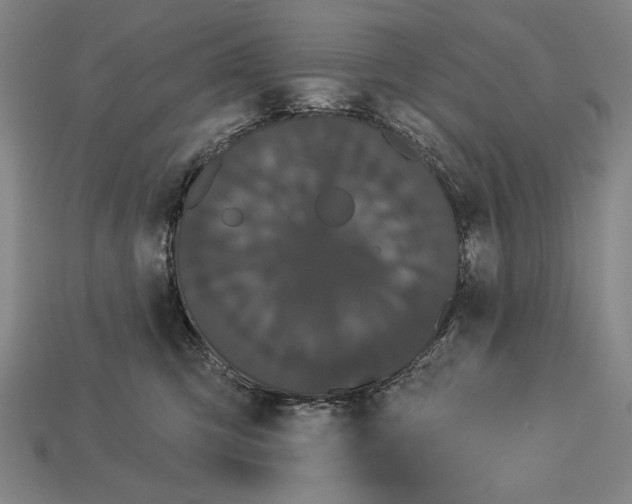 X0000113060423200909250912