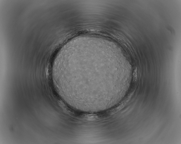 X0000113060424200909250912