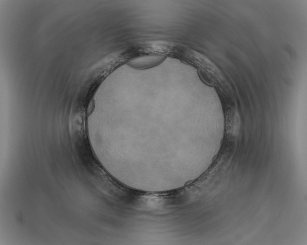 X0000113060425200909250912