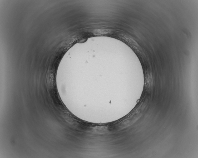 X0000113060426200909250912