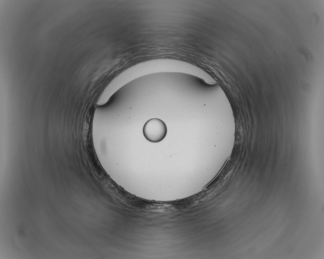 X0000113060427200909250912