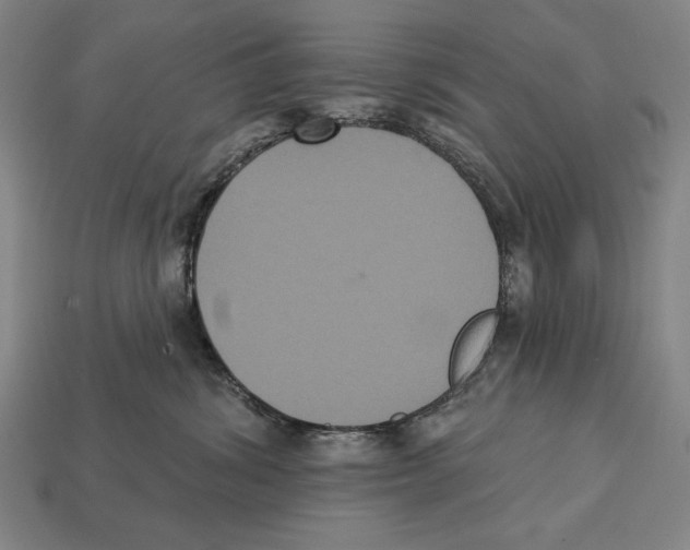 X0000113060428200909250912