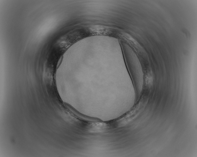 X0000113060429200909250912