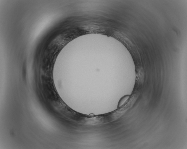 X0000113060430200909250912