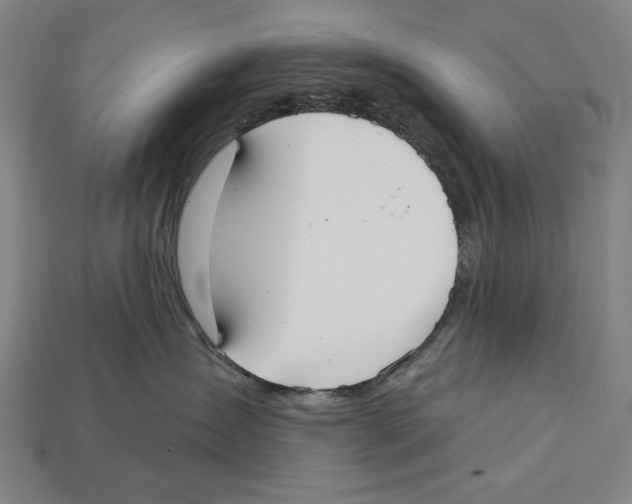 X0000113060431200909250912