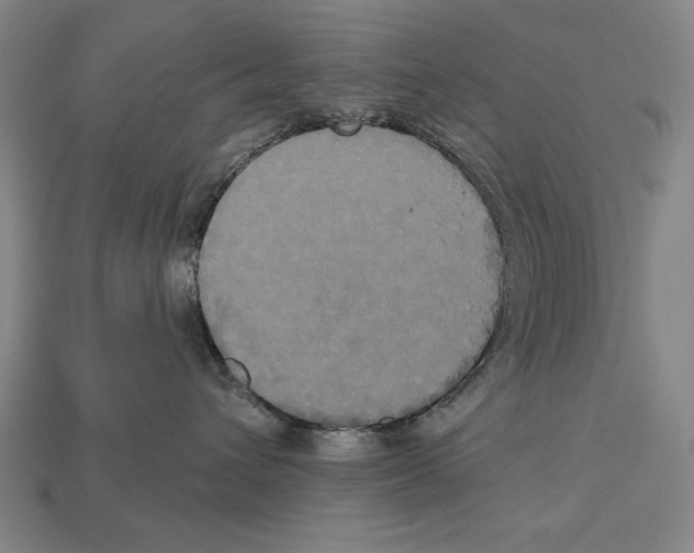 X0000113060432200909250912