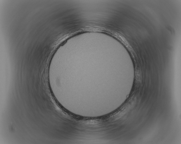 X0000113060433200909250912