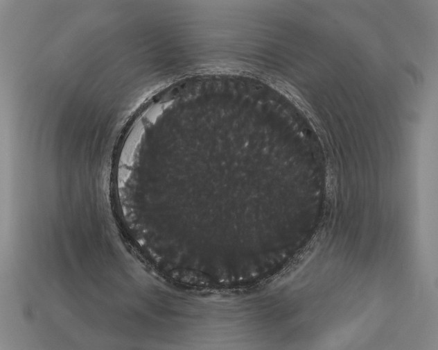 X0000113060434200909250912